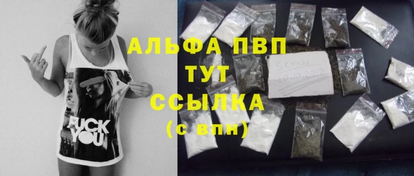 гашик Алексин