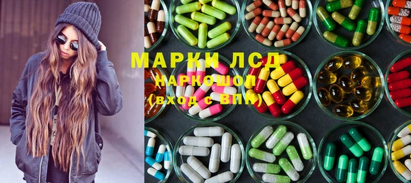 гашик Алексин