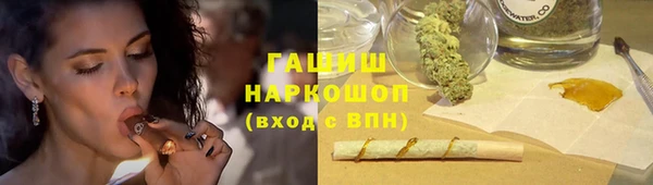 гашик Алексин