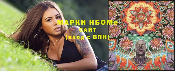 гашик Алексин