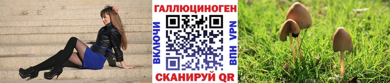 Псилоцибиновые грибы мицелий  где найти наркотики  hydra как войти  Полярные Зори 